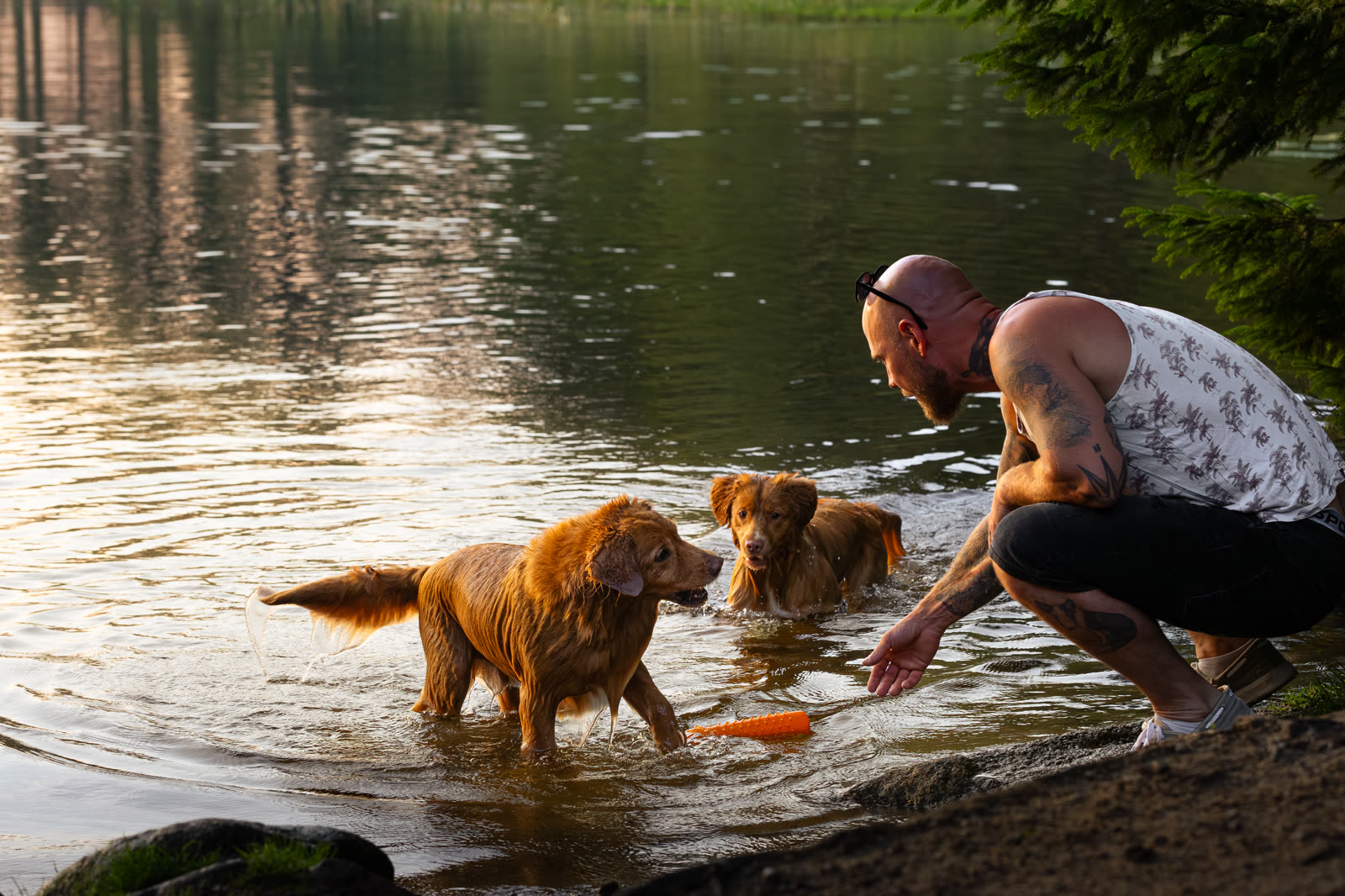 My Camping campsite landscape view in southern Sweden