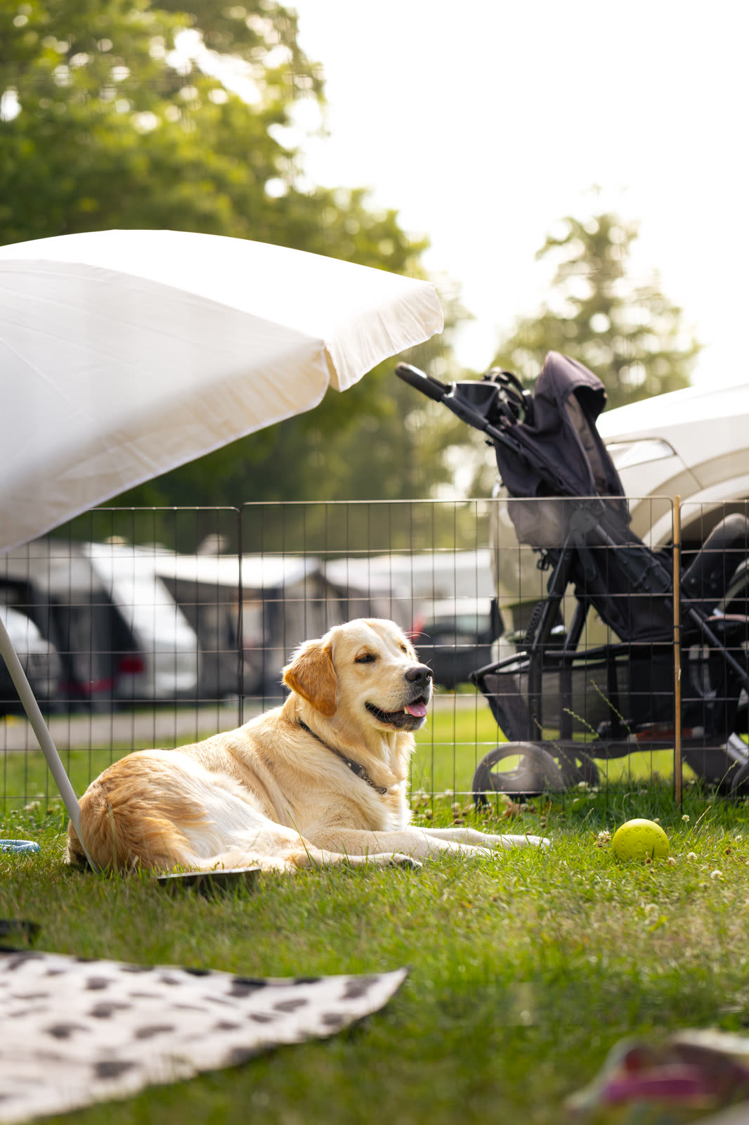 My Camping coastal landscape — campsite by the sea