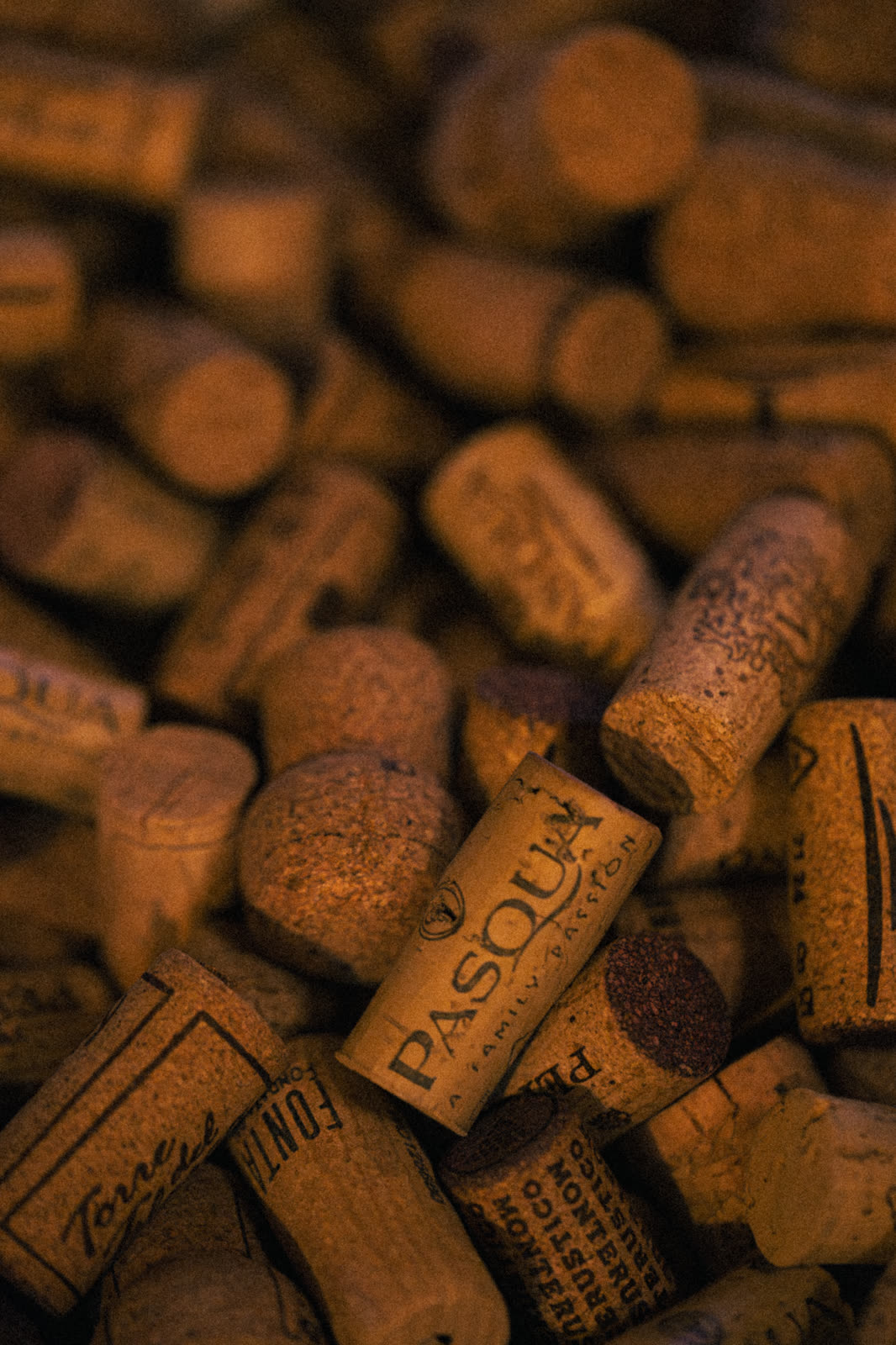 Ernesto Ristorante Kalmar — atmospheric portrait